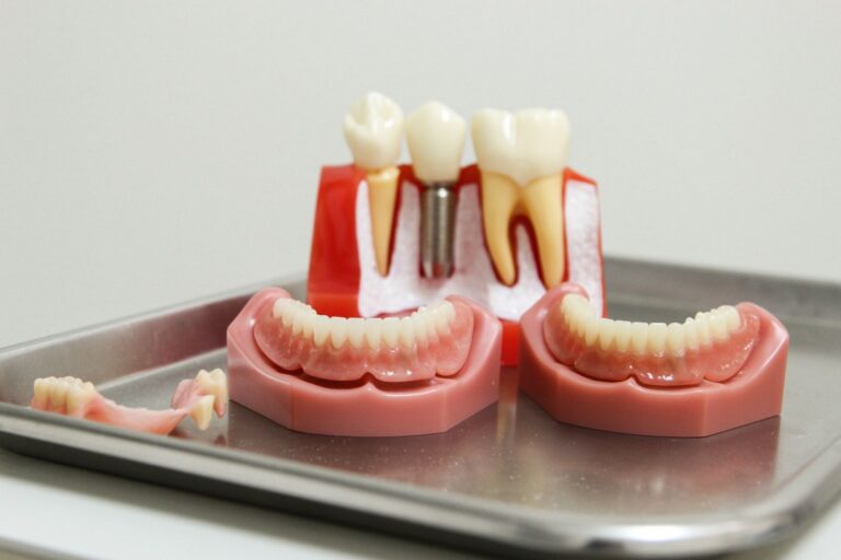 Dental model showing tooth roots and a restoration used to explain restorative dentistry